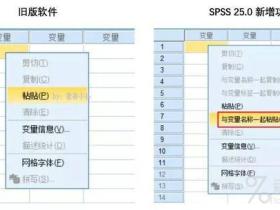 SPSS 25 变量名称一起复制粘贴，让数据录入更简单快捷