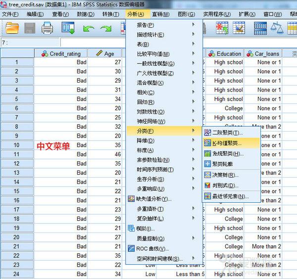 SPSS安装后是英文界面怎么转换成简体中文？